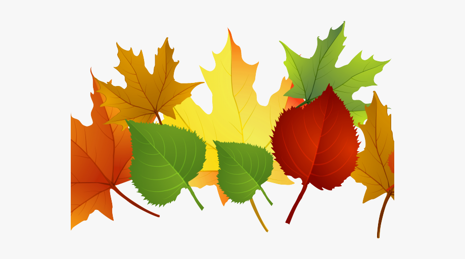 Autumn Leaves Clipart Clip Art Fall