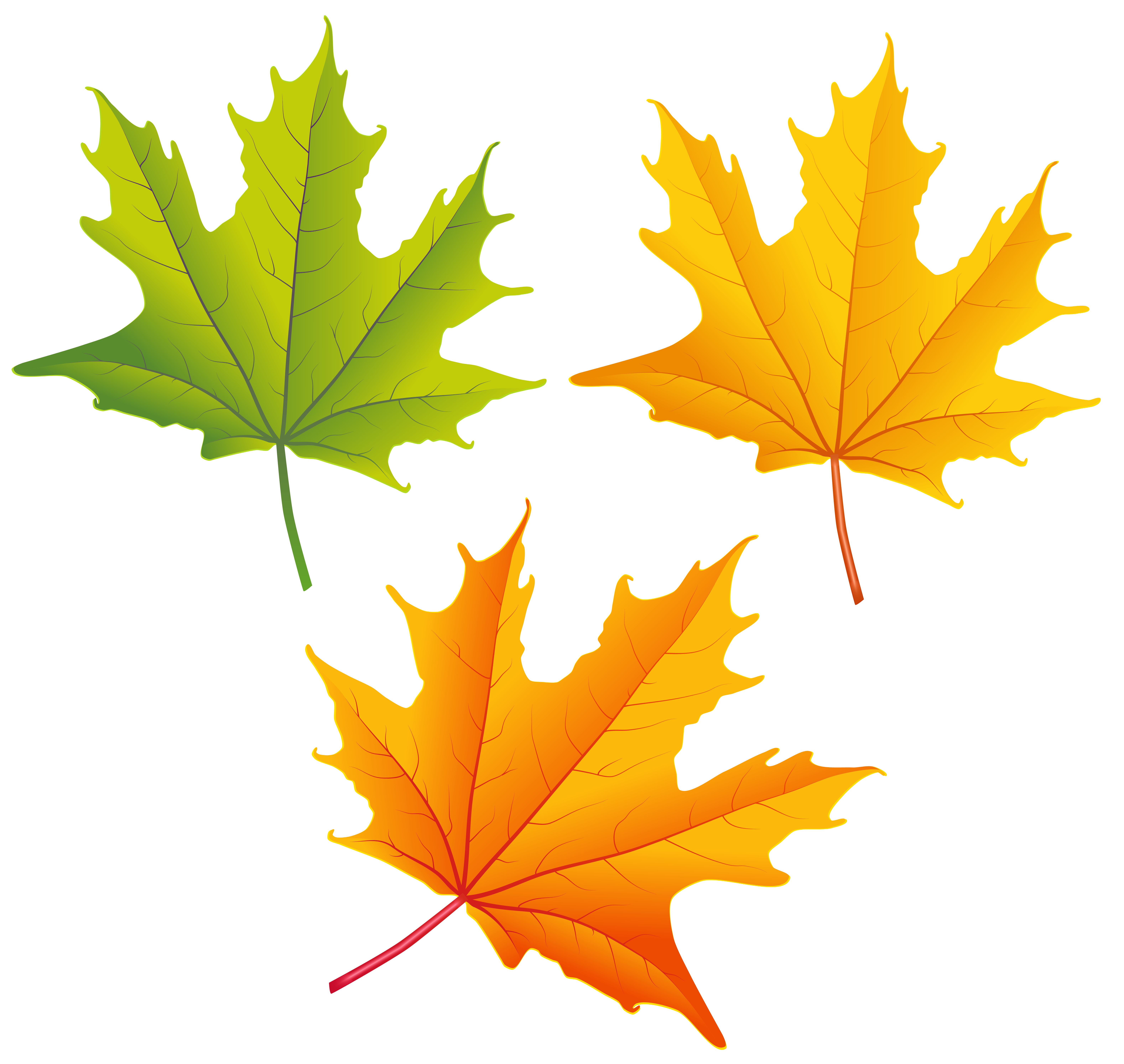 Leaves falling clipart.
