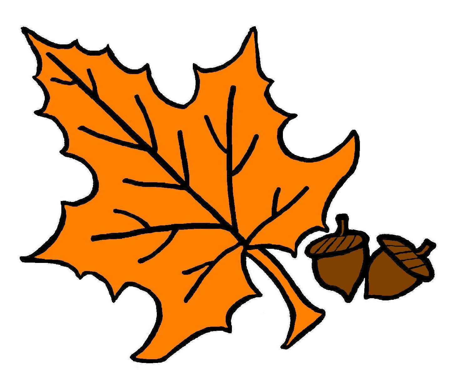 Fall leaves fall leaf clipart no background free images