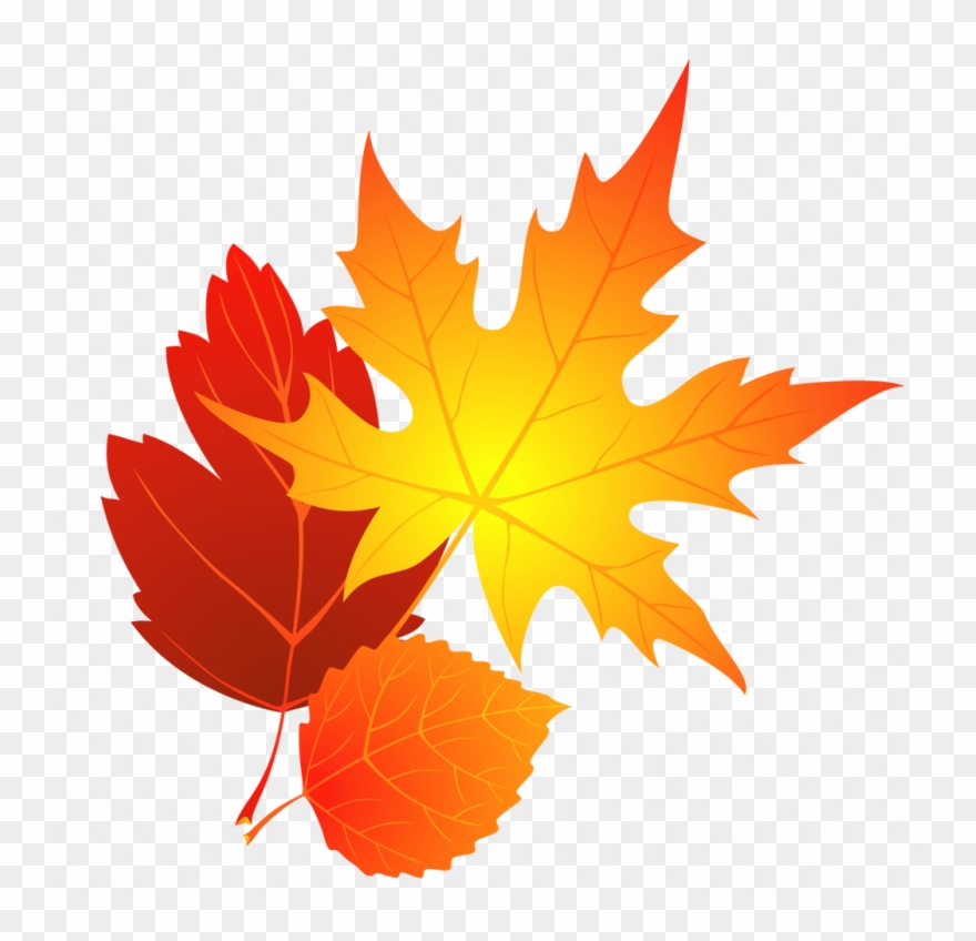 Transparent Background Fall Leaves Clipart