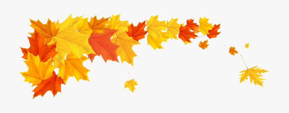 Leaf Clipart, High Quality Images, Autumn Leaves, Clip