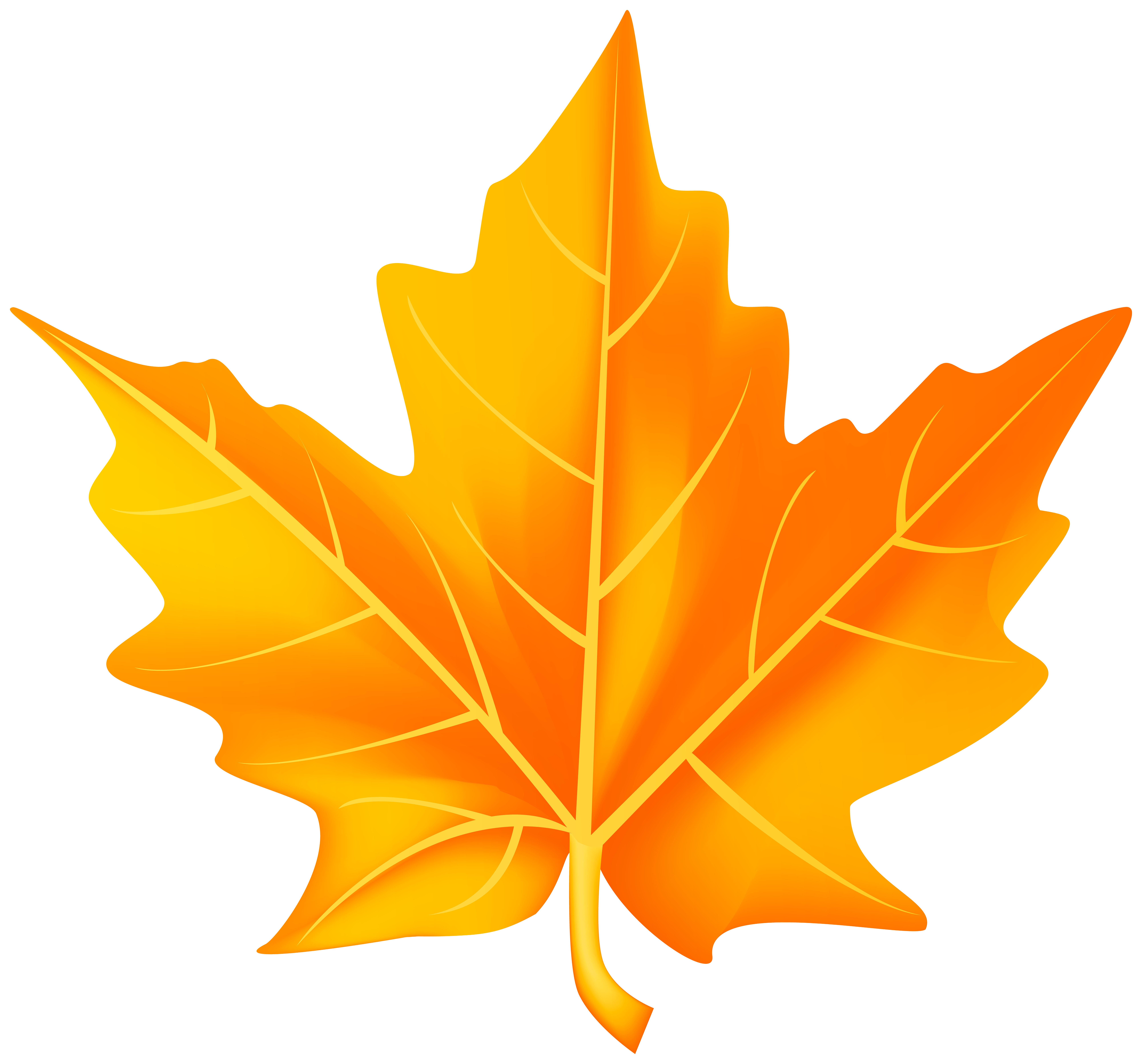 Orange fall leaf.