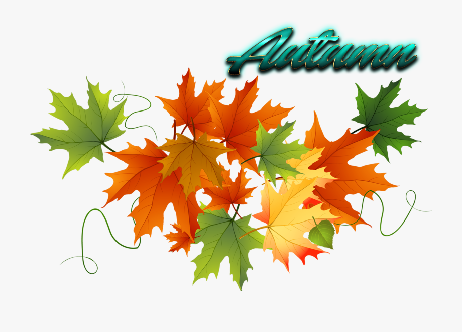 Autumn Leaves Free Png Image