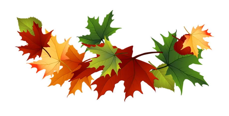 free fall leaves clipart translucent