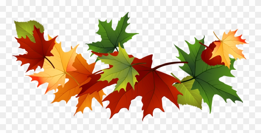 Fall Leaves Clip Art Free Fall Transparent Leaves