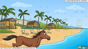 A Horse Running Wild And Free and A Simple Beach Front Resort Background