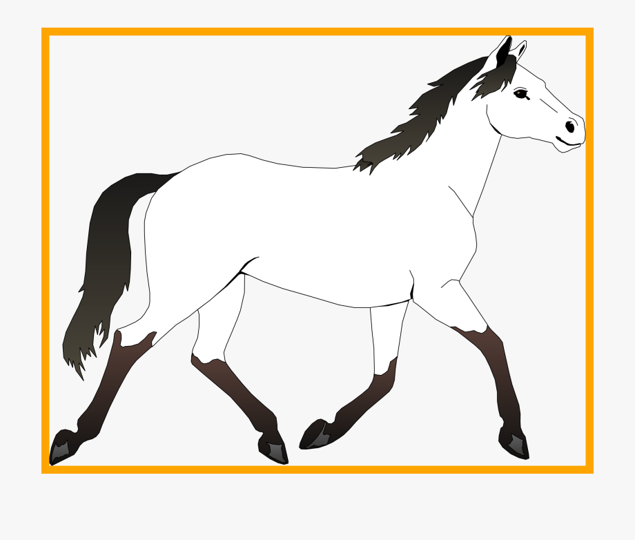 Incredible Clipart Color Horse Collection Coloring