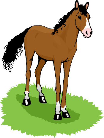 Free Images Of Horse, Download Free Clip Art, Free Clip Art