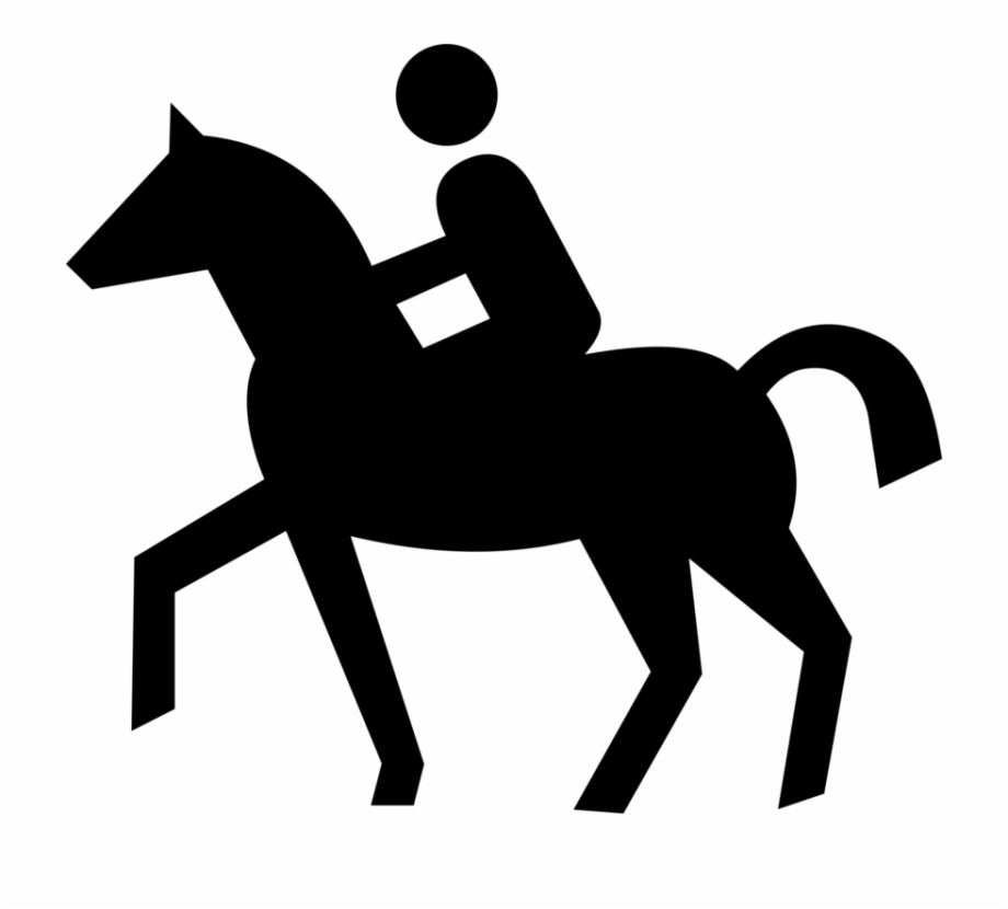 Horse equestrian computer.