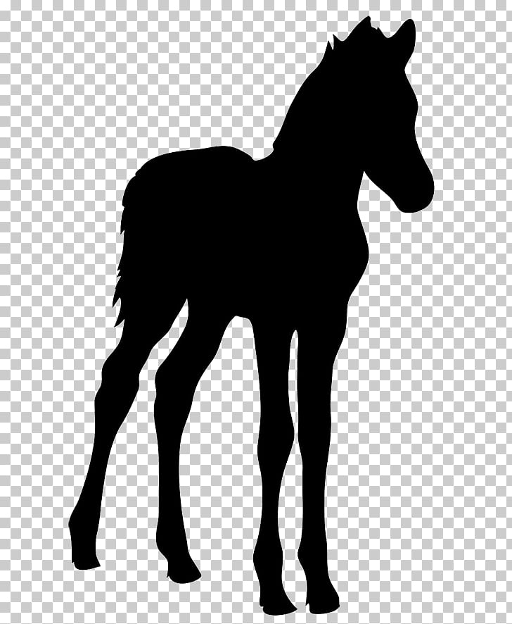 Horse foal silhouette.
