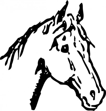 free horse clipart head
