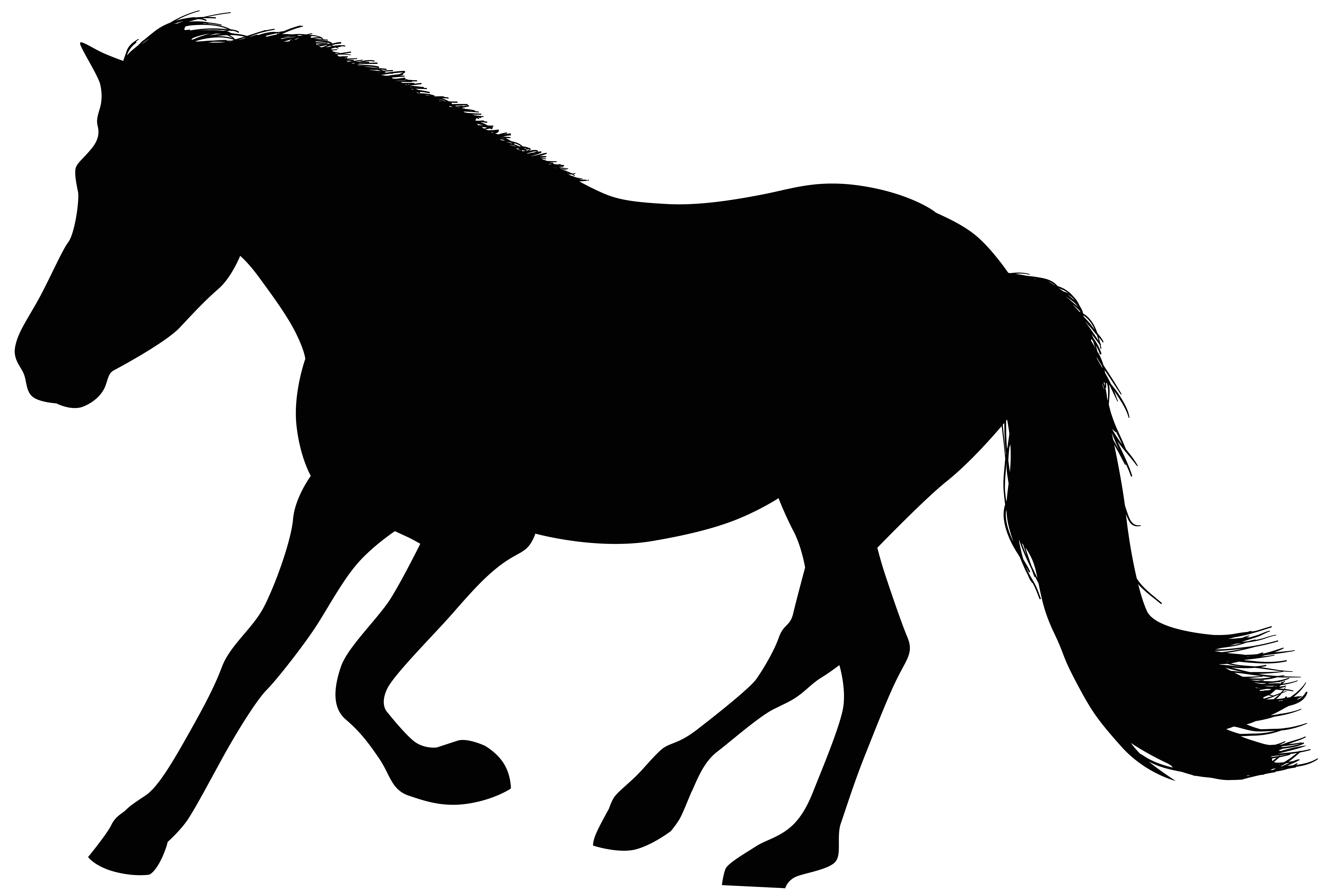 Mane Mustang Stallion Foal Clip art