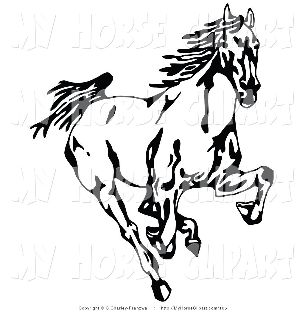 Clip Art of a Black and White Wild Mustang Horse Running