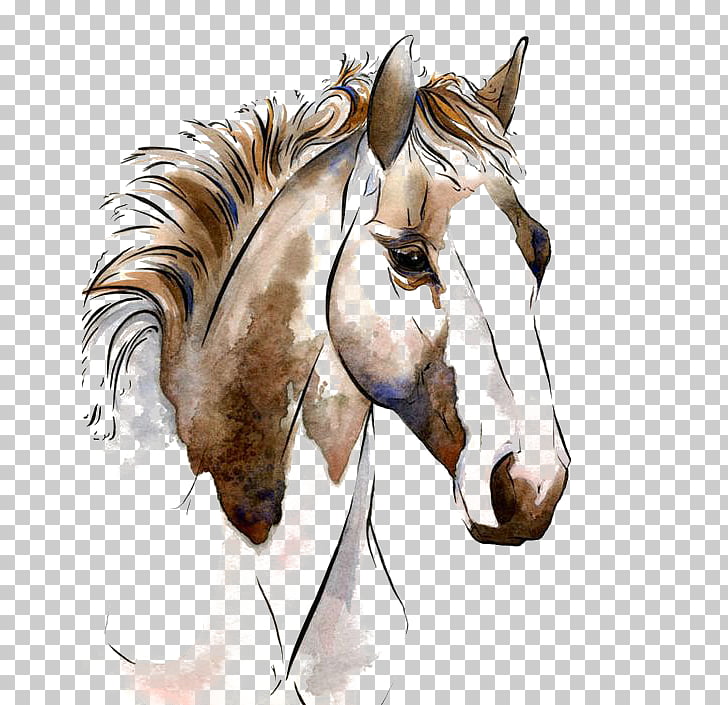 American Paint Horse Watercolor painting Horses in art