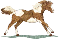Paint horse clipart clipart images gallery for free download
