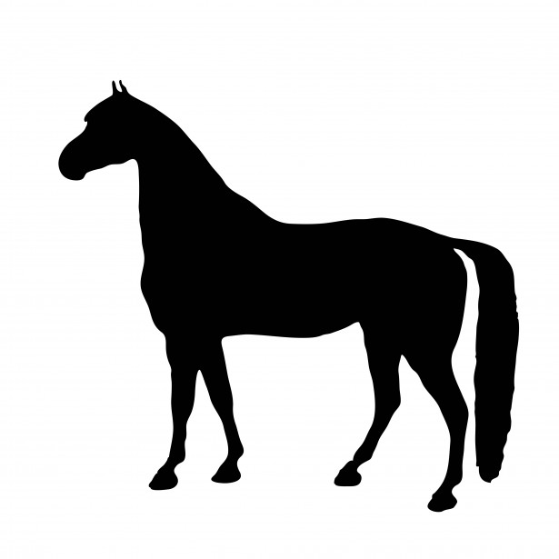 Horse silhouette clipart.
