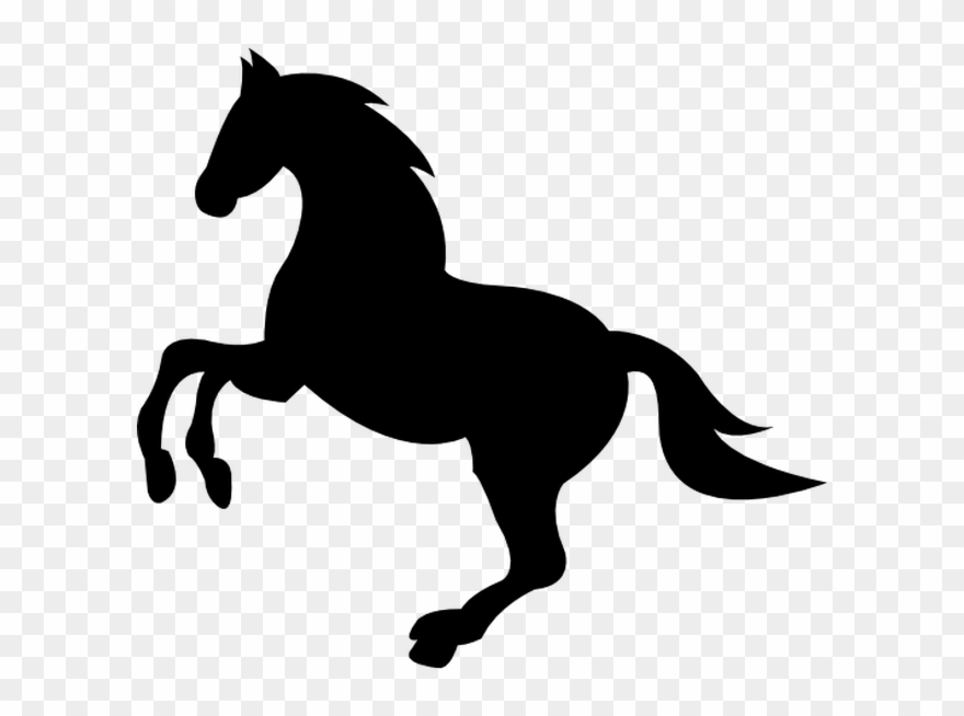 Wild Black Horse Lifting Front Foot Free Vector Icon