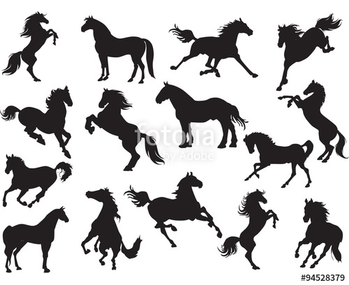 Silhouettes horses vector.