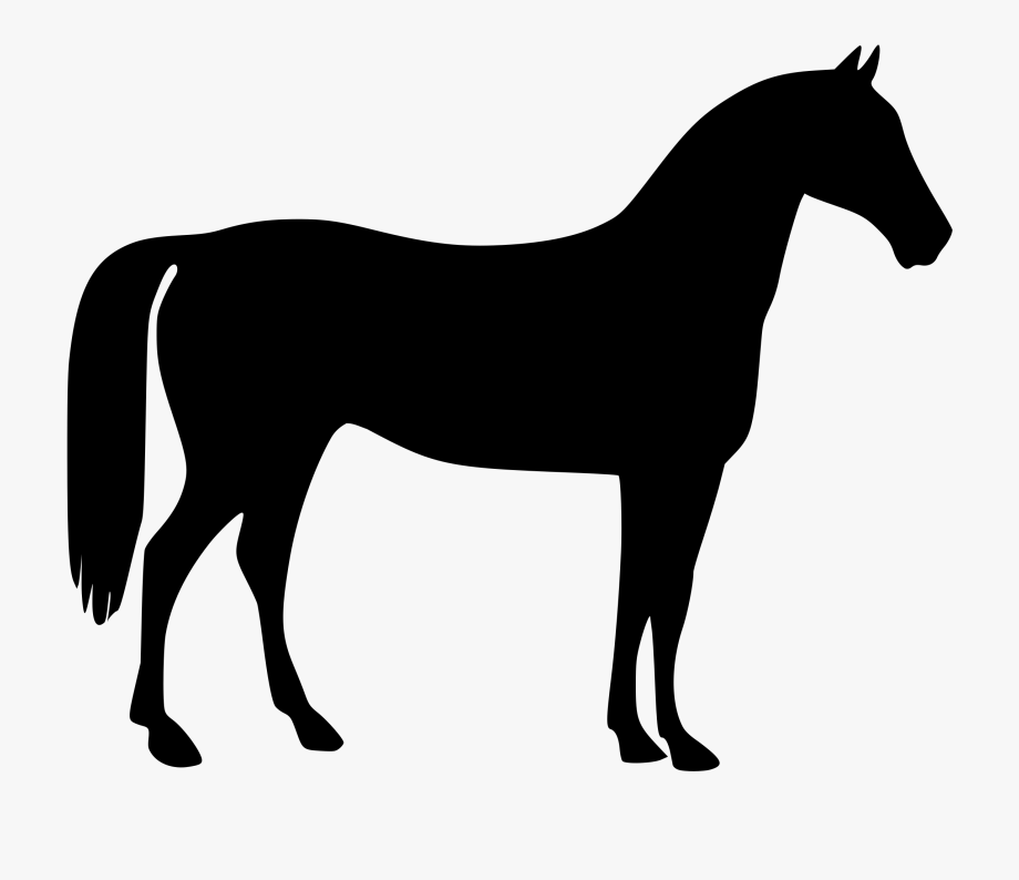 free horse clipart vector