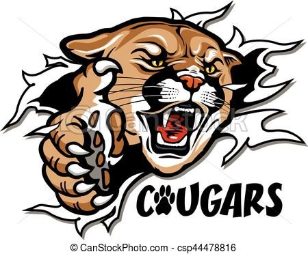 Vector cougars mascot.