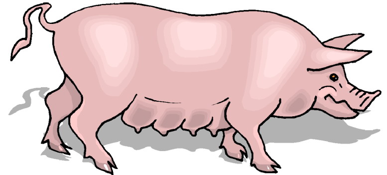Free pig cliparts.