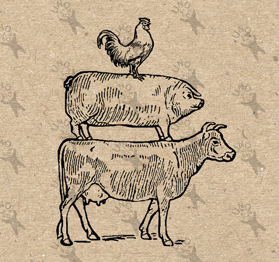 Cow Pig Chicken Rooster Image Instant Download Digital Cow
