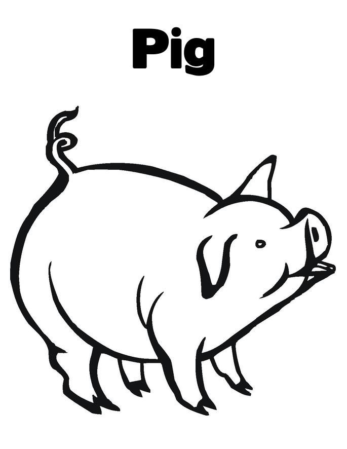 Free printable pig.