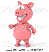 Royalty Free Animal Stock Pig Designs