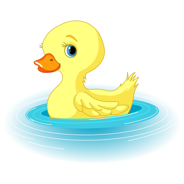 Swimming duck animal.