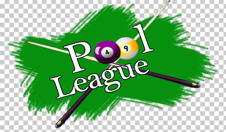 Sports League American Poolplayers Association Tournament