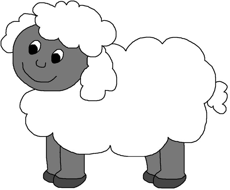 Sheep illustration images.