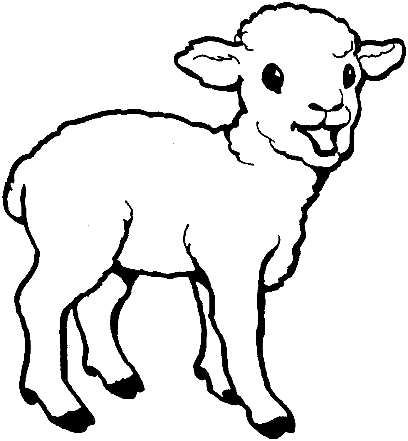 Coloring pages of sheep and