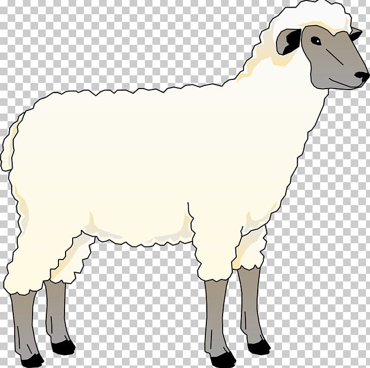 free sheep clipart drawing