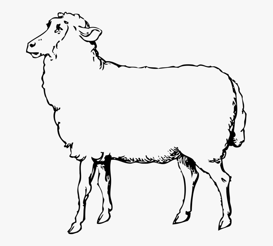 Lamb Clipart Baby Goat