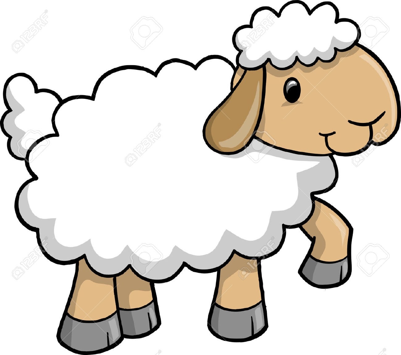 Realistic sheep drawing.