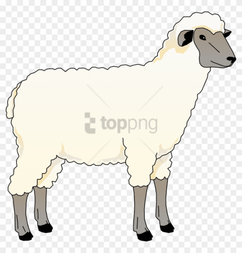 Free Png Real Sheep Png Png Image With Transparent