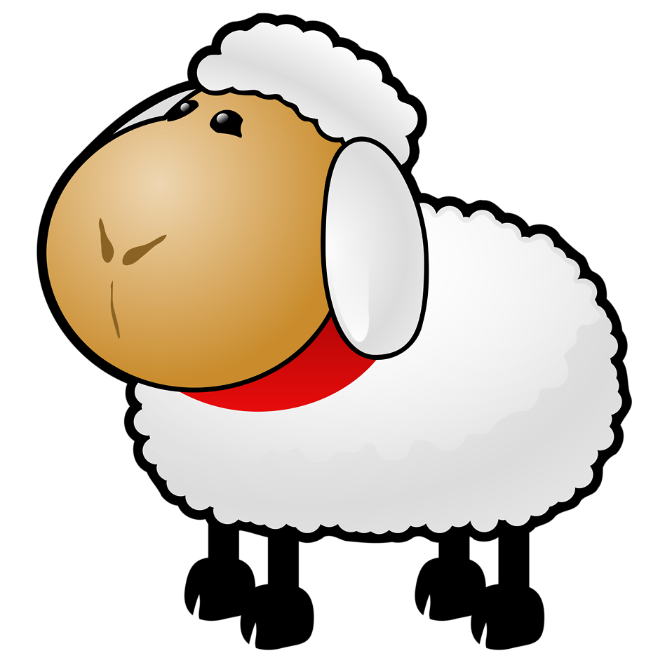 free sheep clipart transparent background