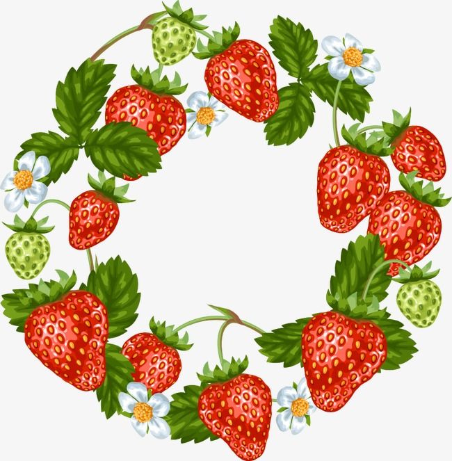 Vector Strawberry Wreath, Strawberry Vector, Wreath Vector