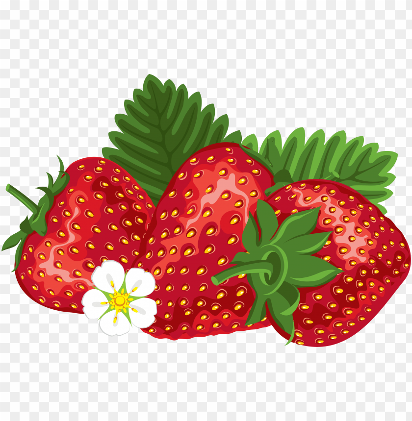 Download strawberry clipart.