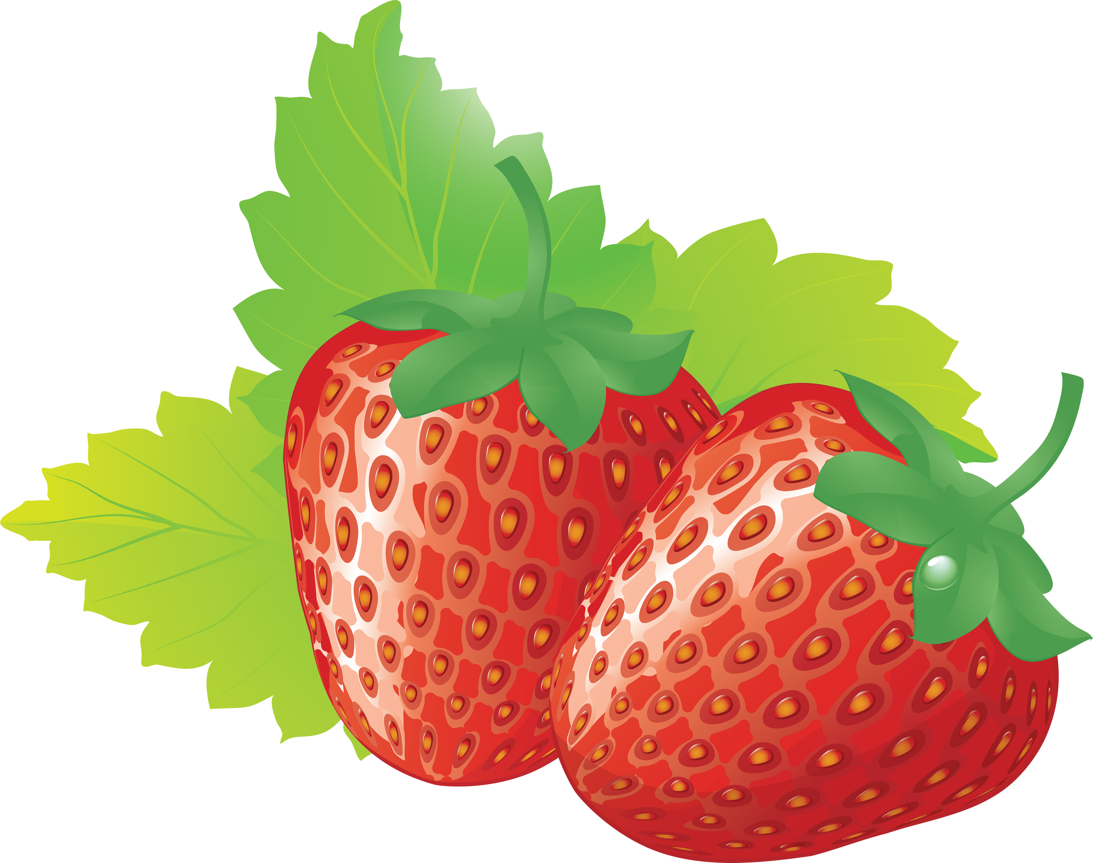 High resolution strawberry.