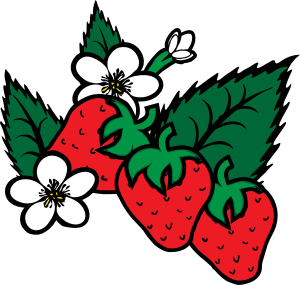 Strawberry Plant Clipart Black And White