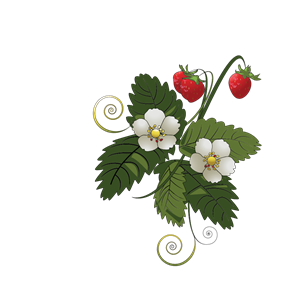 Strawberry Plant clipart, cliparts of Strawberry Plant free