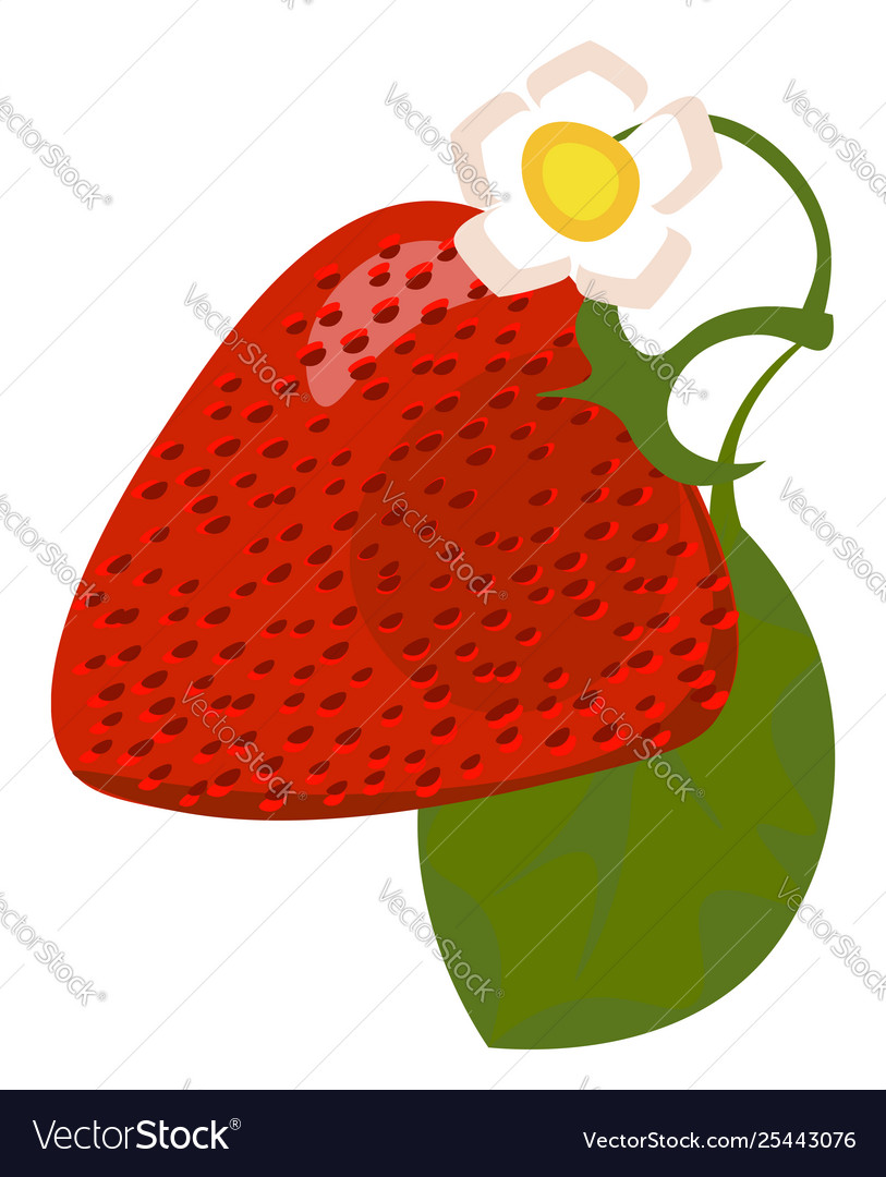 Clipart a charming red strawberry and a