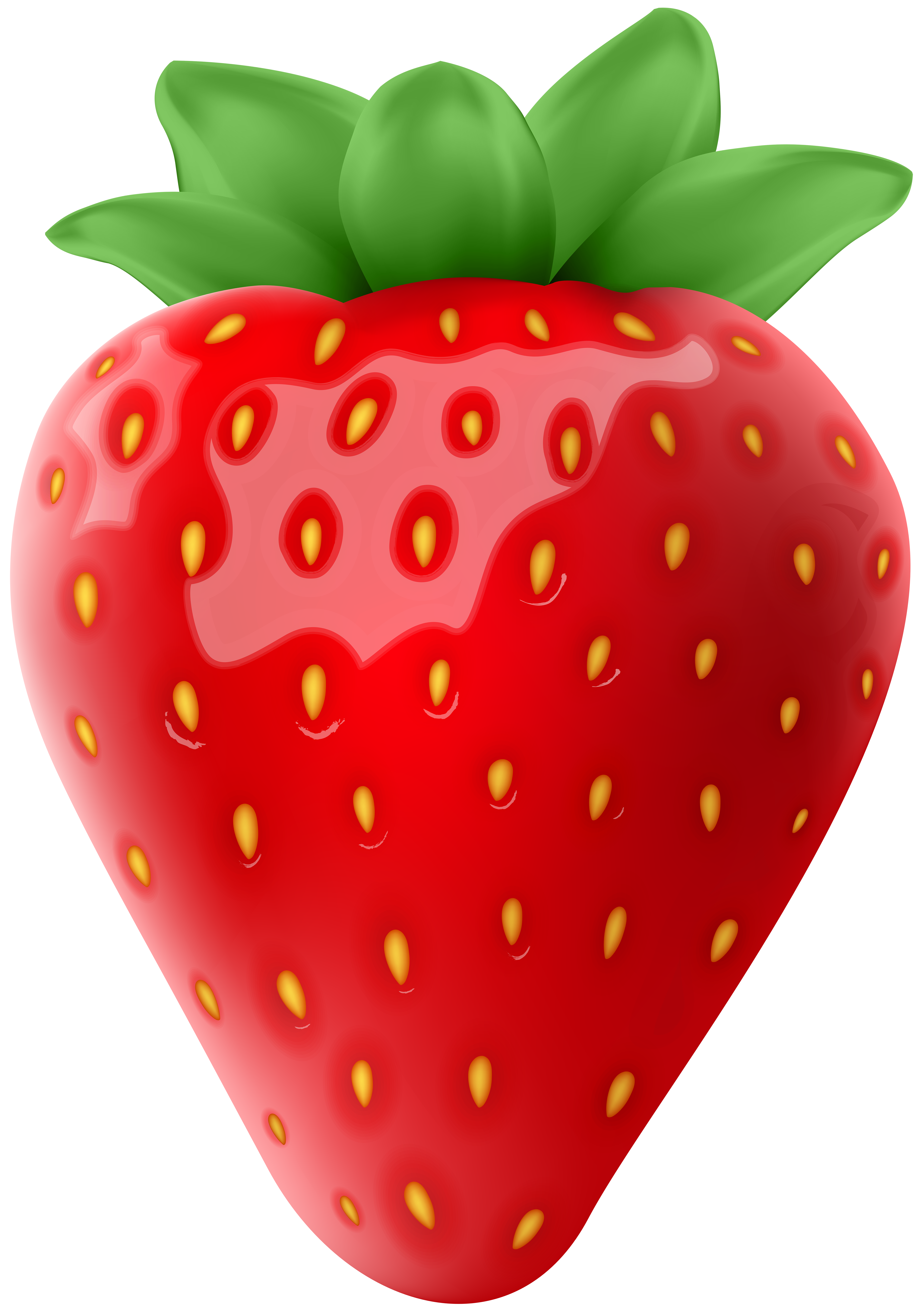 Free strawberry clipart transparent background pictures on Cliparts Pub