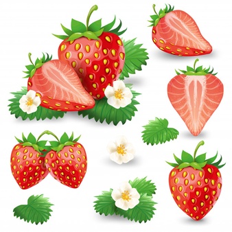 Strawberry vectors photos.