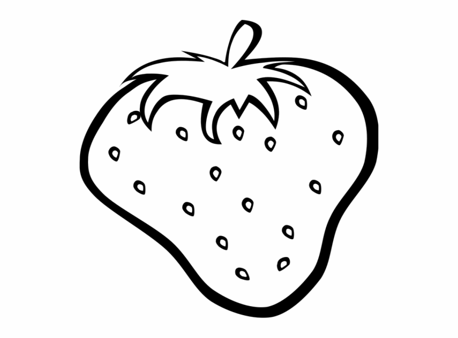 Free Gallery Picture Of Fruit For Drawings Art