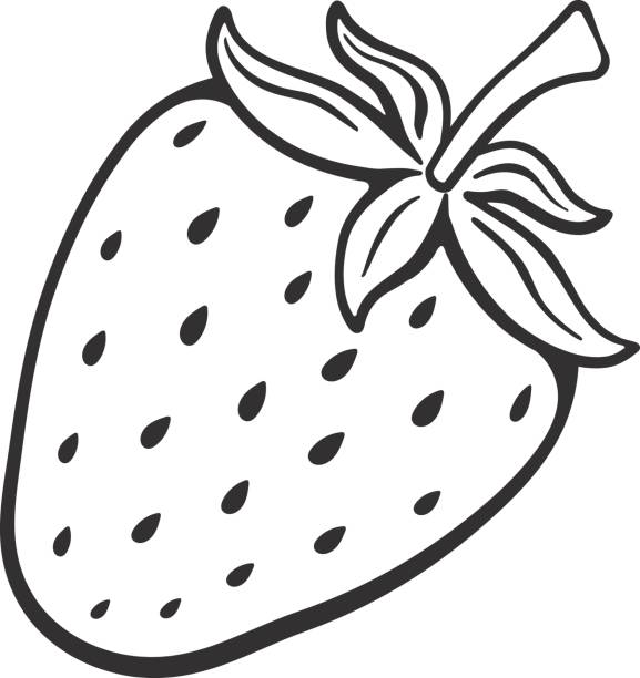 Strawberry Clipart black and white