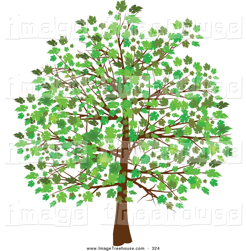 Free Tree Images Free, Download Free Clip Art, Free Clip Art
