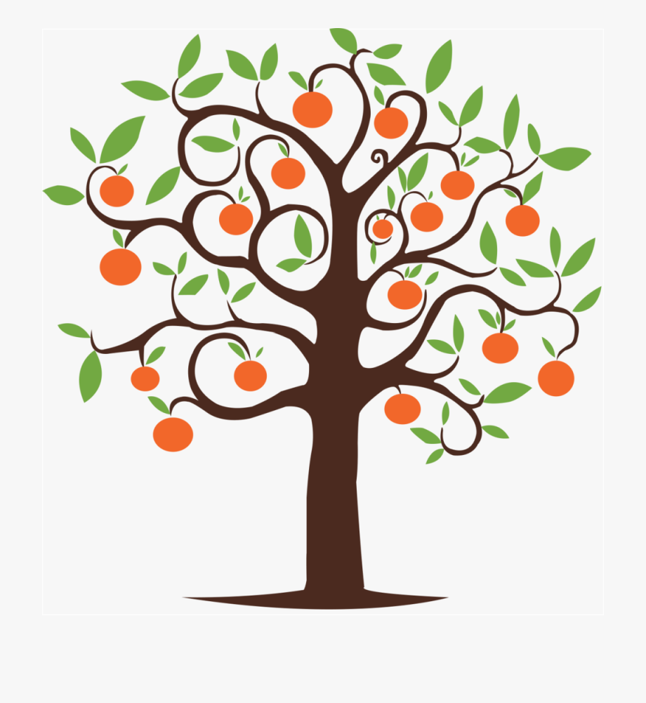 Drawings Of Peach Trees