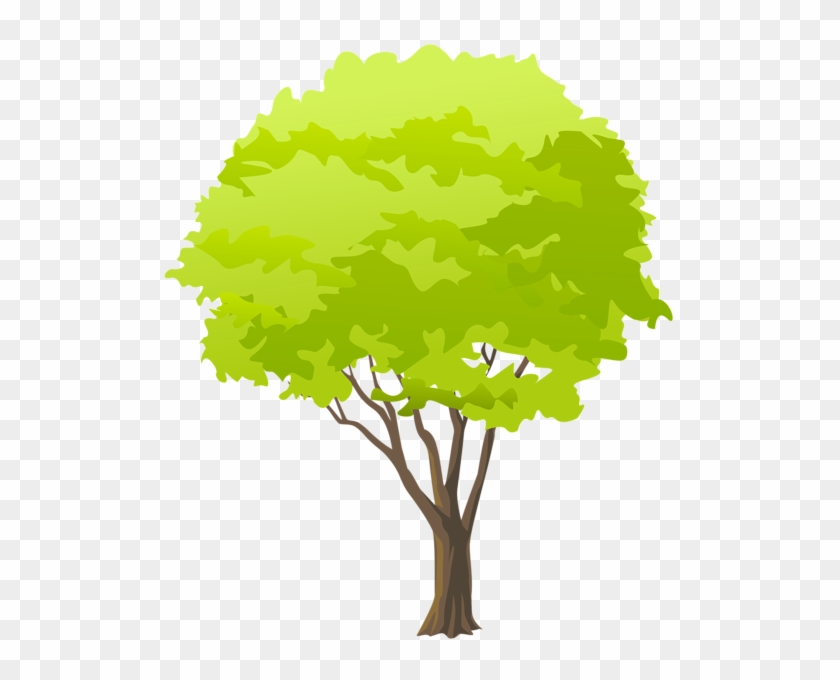 Green tree png.